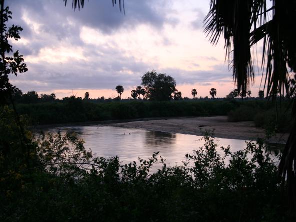 Selous Impala Camp - View